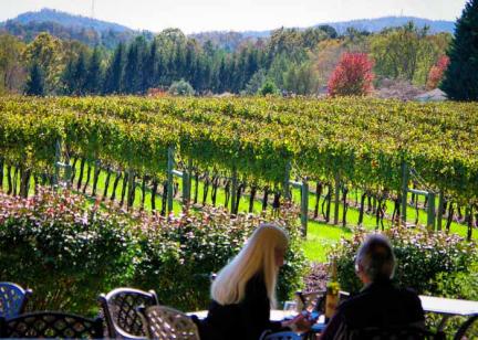 Biltmore Winery Insider's Guide